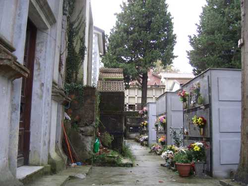 foto n.7 cimitero Cardinale
 (CZ) 