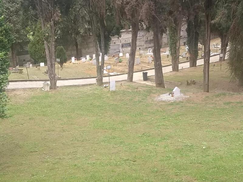 foto n.41 cimitero Cosenza
 (CS) 