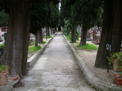 foto n.5 cimitero Sant Andrea Apostolo dello Ionio
 (CZ) 