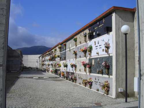 foto n.8 cimitero Satriano
 (CZ) 