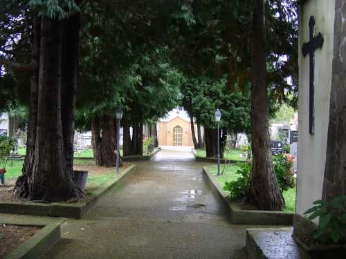 foto n.5 cimitero Torre di Ruggiero
 (CZ) 