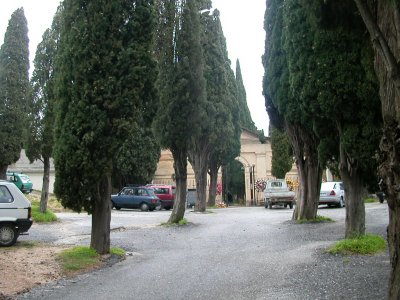 foto n.7 cimitero Sant Andrea Apostolo dello Ionio
 (CZ) 