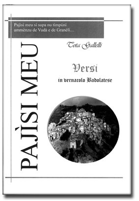 SEZIONE TESI DI LAUREA - Vincenzo Squillacioti