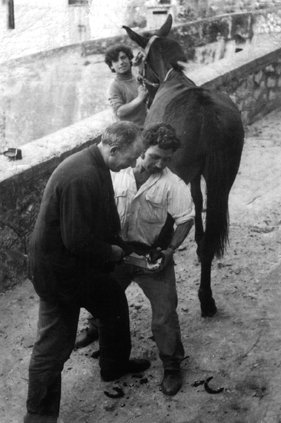 IL MUSEO-TERRITORIO - Vincenzo Squillacioti