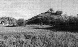 LITALIA SIAMO NOI? Sicani, Siculi, Traci. Il Danubio. E il misterioso Re Italo. - Domenico Paravati