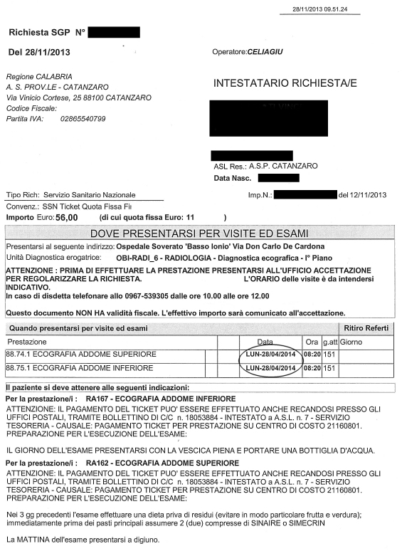 NELLA (VANA?) ATTESA CHE L' ITALIA SIA ALTRA - Vincenzo Squillacioti